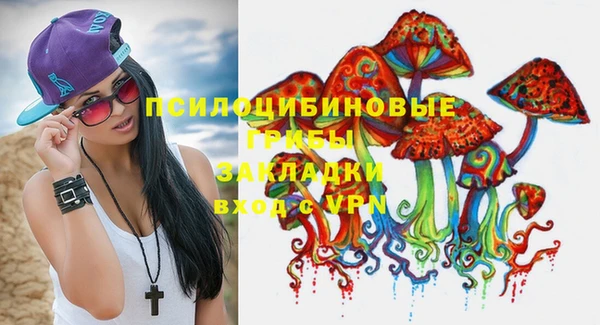 дмт Балахна