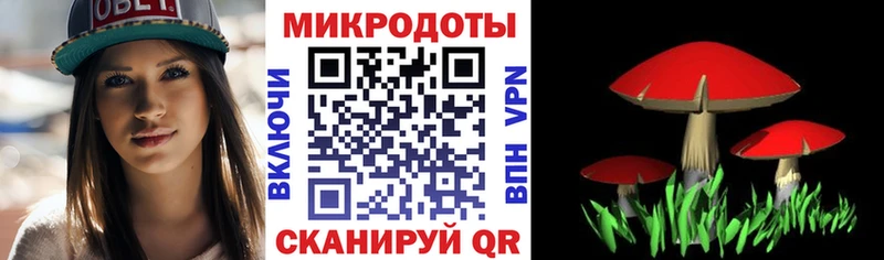 Псилоцибиновые грибы прущие грибы  Ершов 
