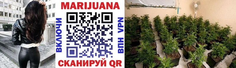 blacksprut ССЫЛКА Ершов Бошки марихуана семена